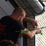 atzert-rolladen-0000158