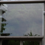 wiga026