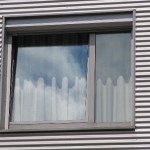 IMG_0507